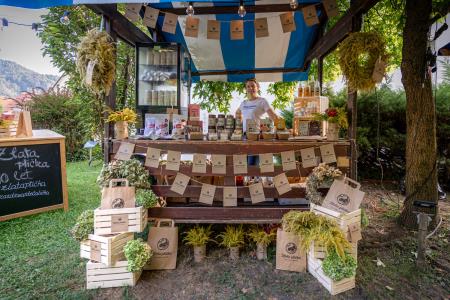 2024-08-30 Kul Petek-2